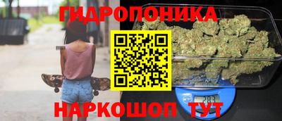 apvp Ирбит