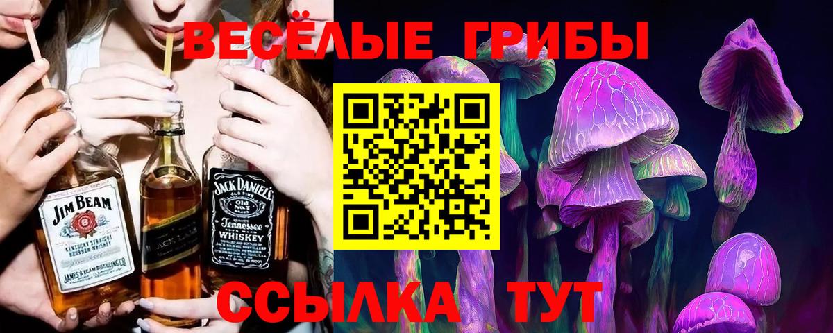 Галлюциногенные грибы Cubensis Кыштым